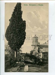 3133818 Russia Caucasus SOCHI Cypress LIGHTHOUSE Vintage PC