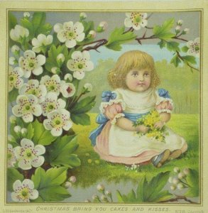 1880's Lovely Girl Cakes & Kisses Blossoms Victorian Trade Card P115