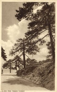 cyprus, TROODOS, View with Trees (1950s) Mangoian Bros. Postcard (2)
