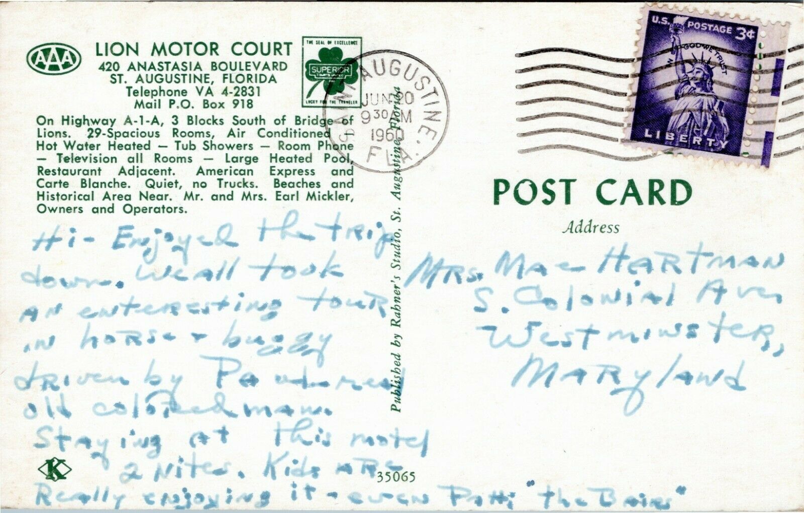 Lion Motor Court St Augustine Florida Hippostcard