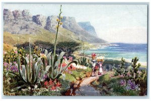c1910 Table Mountain Cape Town South Africa Oilette Tuck Art Postcard