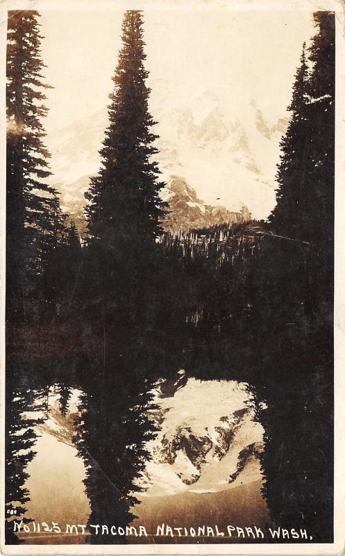 Mt Tacoma National Park Washington~Pines & Snowcapped Mountain in Lake~1910 RPPC