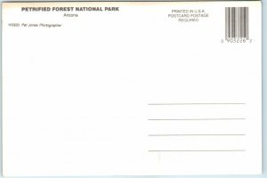 Postcard - Petrified Logs, Petrified Forest National Park - Arizona