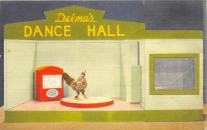 J11/ Hot Springs Arkansas Postcard Linen Delma Dance Hall Chicken 21