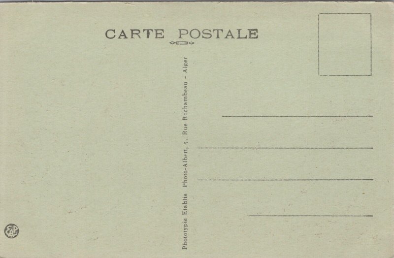 Morocco Volubilis Arc de Triomphe de Carcalla Vintage Postcard C147