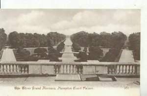 Middlesex Postcard - The Three Grand Avenues - Hampton Court Palace - Ref 10944A