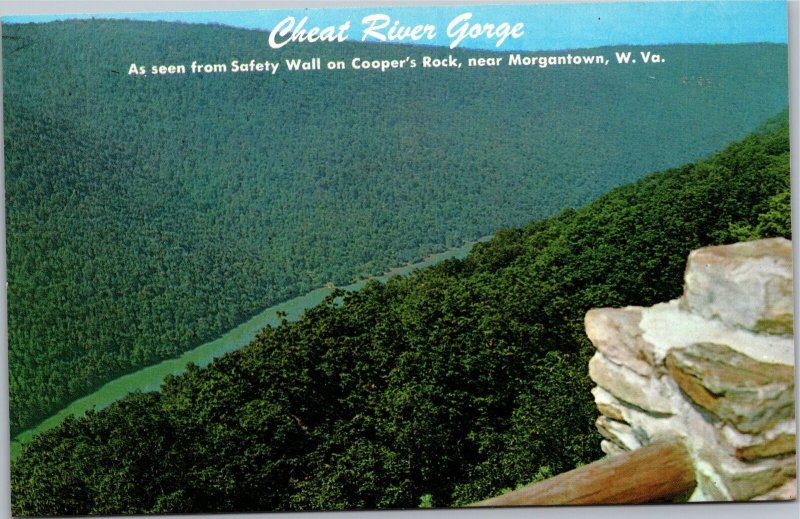 Postcard WV Morgantown Cheat River Gorge view from Cooper's Rock