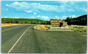 M-42480 Medicine Bow National Forest on Hi-way 130 Wyoming