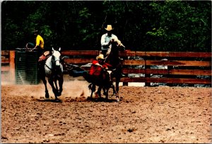 Cowboy, Quarter Horse Farm, Dunnellon FL Vintage Postcard Y62