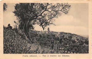 Lot 73 morocco taza view through olive trees ship African transatlantic company