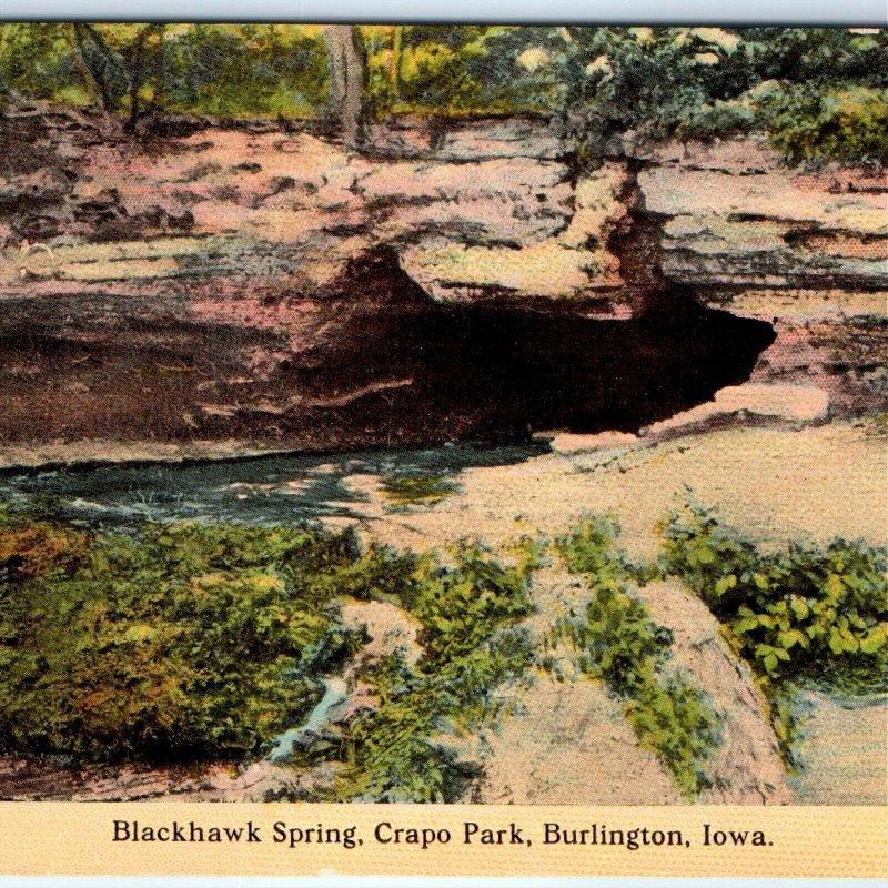 c1910s Burlington, IA Crapo Park Blackhawk Spring Nature Cave Tunnel Vtg PC A273