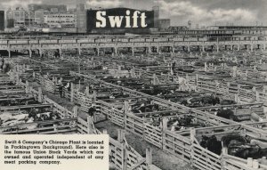 VINTAGE POSTCARD SWIFT & COMPANY MEAT PACKERS PACKINGTOWN CHICAGO ILLINOIS MINT