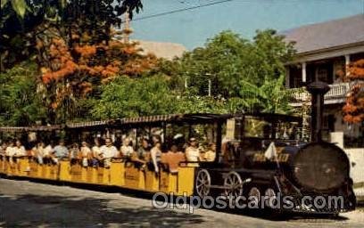 Poinciana Lined Street, Old Key West, FL USA Amusement Park Parks, 1972 posta...