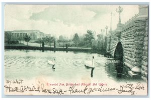 1905 Elmwood Avenue Bridge Albright Art Gallery Lake Swans Buffalo NY Postcard 