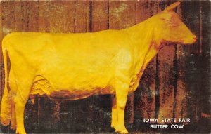 Iowa State Fair Butter Cow Des Moines, Iowa  