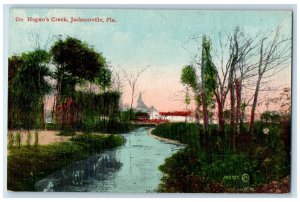 On Hogan's Creek Nature Scene Jacksonville Florida FL Vintage Unposted Postcard