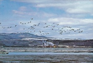 Canada St Francois Ile d'Orleans Quebec