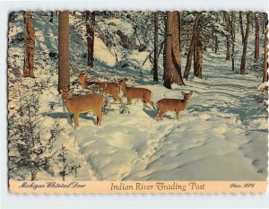 Postcard Michigan Whitetail Deer, Indian River Trading Post, Indian River, MI