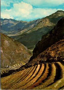 VINTAGE CONTINENTAL POSTCARD INCAIC TERRACES READY FOR CULTIVATION PISAC PERU