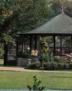 1907-1915 Scranton PA Music Pavilion Nay Aug Park Lackawanna Co RARE DB Postcard