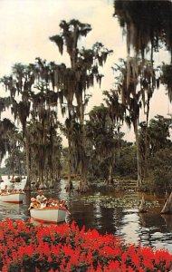 Sightseeing Boats in Cypress Gardens FL