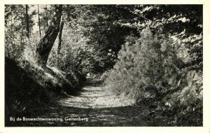 Netherlands - Geitenberg. Bij de Boswachterswoning (Near the Forest Warden's ...