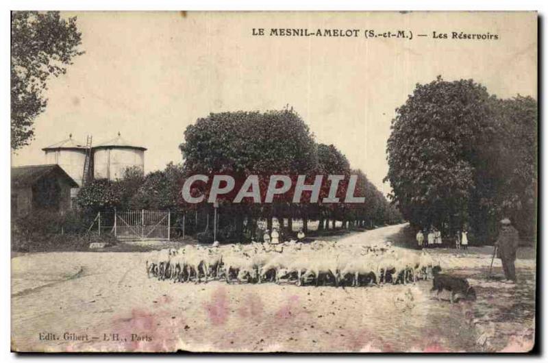 Old Postcard Chateau d & # 39eau Le Mesnil-Amelot The tanks Sheep Dog