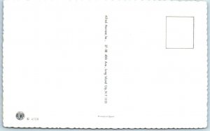 Mainzer Cats  SPOOKY CATS Halloween-ish Kittens #4728 Anthropomorphic  Postcard