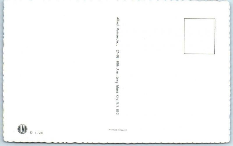 Mainzer Cats  SPOOKY CATS Halloween-ish Kittens #4728 Anthropomorphic  Postcard