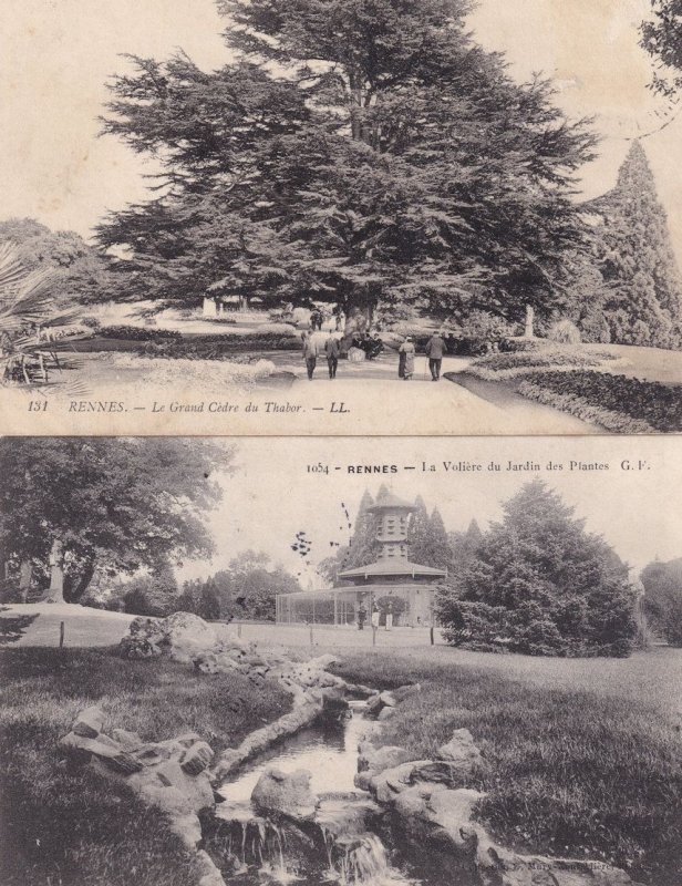 Rennes Les Serres du Jardin Des Plantes Antique French 2x Postcard