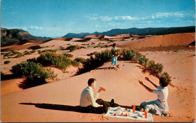 A Zion Picnic Zion Park UT Postcard PC76