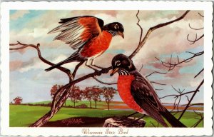 Robin, Wisconsin State Bird Artist Ken Haag Postcard B63