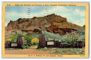 1953 Picket Post Mountain And Entrance To Boyce Thompson Superior AZ Postcard