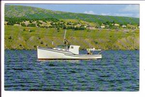 Tuna Boat, Holyrood, Newfoundland