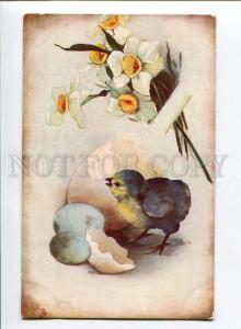 256933 KLEIN Egg EASTER Chichen NARCISSUS Vintage TUCK #9637