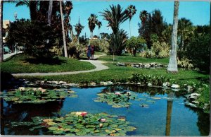 Lily Pond in Riverfront Park Daytona Beach FL Vintage Postcard R25