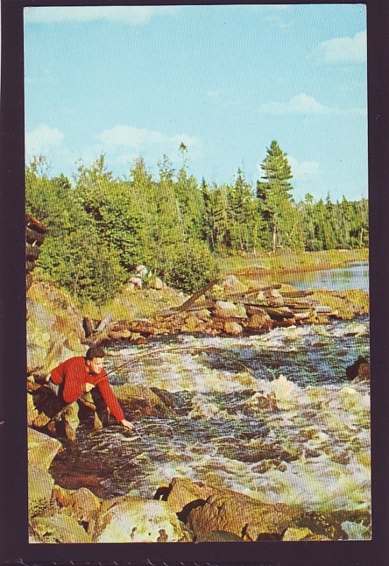 P1663 1970 used mede  photo montreal canada fishing another one for the pan