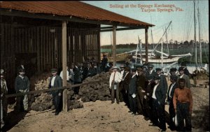 Tarpon Springs Florida FL Sponge Exchange c1910 Postcard