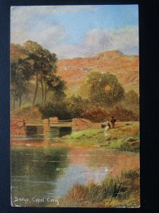 Wales Snowdonia CAPEL CURIG BRIDGE c1905 Postcard by Hildesheimer & Co