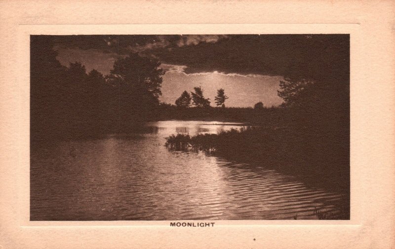 Moonlight River View Along Forest Trees Mountains, Vintage Postcard
