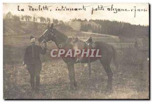 PHOTO CARD Horse Riding Equestrian La Poulette Chestnut 7 years Militaria