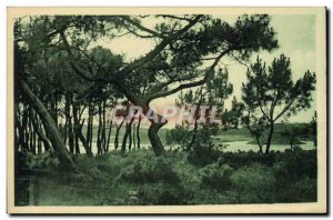 Old Postcard The Beniguet Brehat Islands Views Travers The Citadel Pins