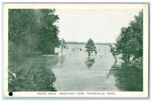 1940 Scenic View Magic Hole Reelfoot Lake Tiptonville Tennessee Vintage Postcard