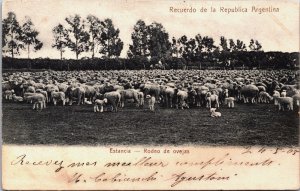 Argentina Recuerdo de la Republica Argentina Estancia Rodeo de Ovejas C202