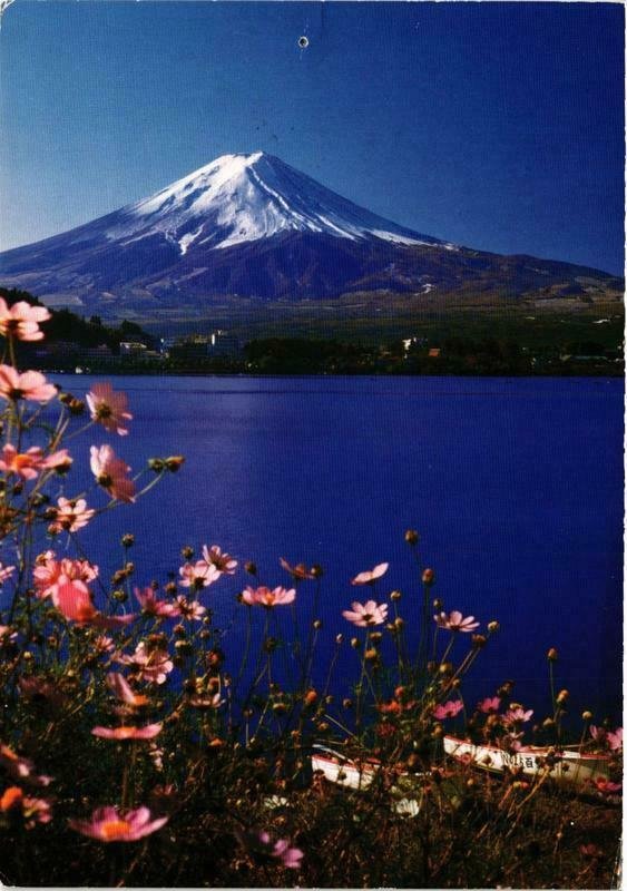 CPM AK Mt. Fuji in a flowery landscape JAPAN (678197)