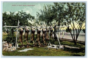 c1910s Result Of Day's Sport Deer Hunting Tacoma Washington WA Unposted Postcard