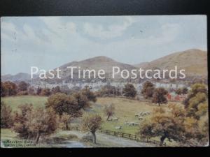 c1917 - THE MALVERN HILLS FROM LINK COMMON - J. Salmon, No.1315, A.R.QUINTON