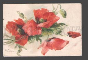3094808 Wild POPPY Bouquet by C. KLEIN Vintage 1907 year RPPC
