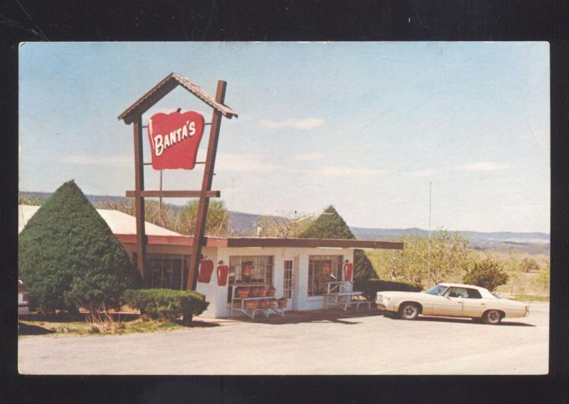 GREEN FOREST ARKANSAS BANTA'S HOUSE OF APPLE STORE ROADSIDE OLD POSTCARD