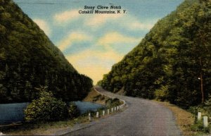 New York Catskills Stont Clove Notch 1962 Curteich